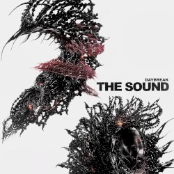 The Sound