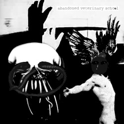 Abandoned Veterinary School