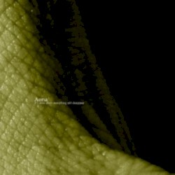 If I Slow Down Everything Will Disappear