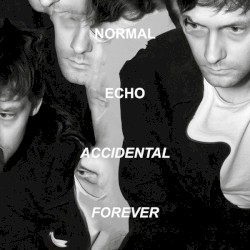 Accidental Forever