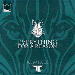 Everything for a Reason (remixes)