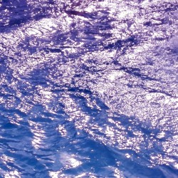 live @ Reasonable Records 08/04/23