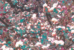 please don’t break up with me (live demo)