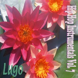 Hip Hop Instrumentals Vol. 7