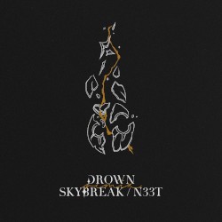 Drown (Skybreak, N33T Remix)