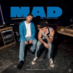 MAD (Matt Pridgyn remix)