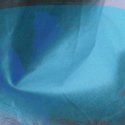 A Bad Dream That Will Pass Away