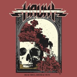 Beautiful Distraction