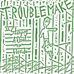 Staying Afloat in Florida