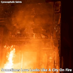 Sometimes Love Looks Like A City On Fire