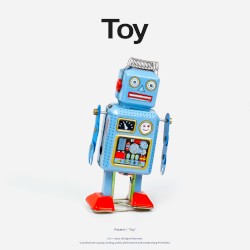 Toy