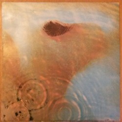 Meddle