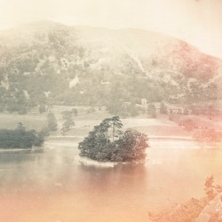 The Licence to Interpret Dreams