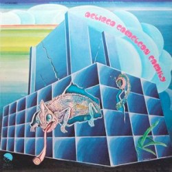 Delired Cameleon Family