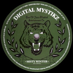 Misty Winter / Conference