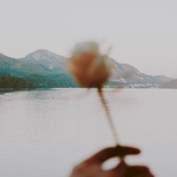 I’m in Love With You