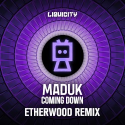 Coming Down (Etherwood remix)