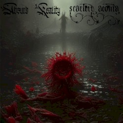 The Scarlett Reality