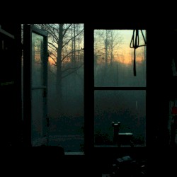MOSS: revelations, landscapes, dreams