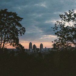 They Fall, but You Don’t