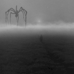 Supermassive black hole