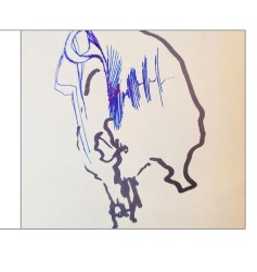 Roro Perrot Acousquantic Shitfolk