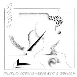 Pourquoi certains arbres sont si grands ?