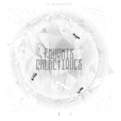 Fourmis Galactiques