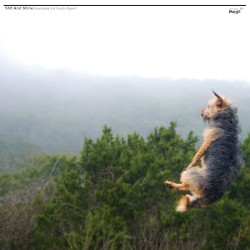 Everybody's a Fuckin Expert