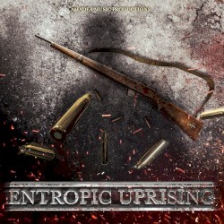 Entropic Uprising
