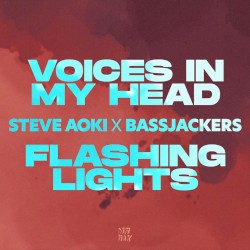 Voices in My Head / Flashing Lights (extended)
