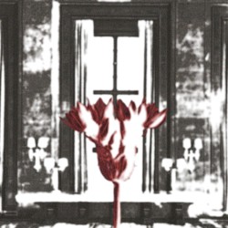 Either Constructive or Destructive