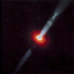 Blessed By God Cursed By Man