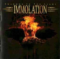 Shadows in the Light