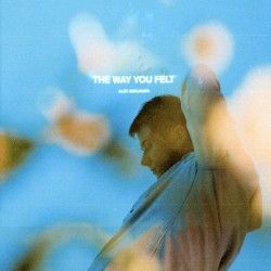 The Way You Felt (acoustic)