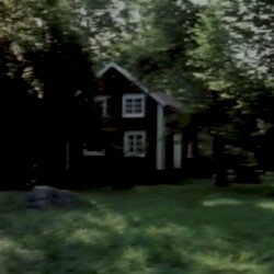 𓇢₊˚ ༉𓍢ִ໋`🏕️𝒸𝒶𝒷𝒾𝓃 𝒾𝓃 𝓉𝒽𝑒 𝓉𝓇𝑒𝑒𝓈🌳🌲.☘︎ ݁˖