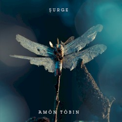 Surge