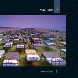 A Momentary Lapse of Reason