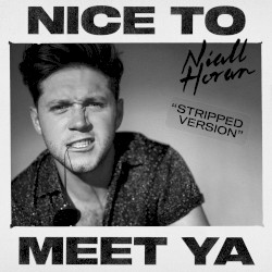 Nice to Meet Ya (stripped version)