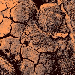 Scorched Earth