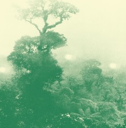 Palms / La mer / Horizons