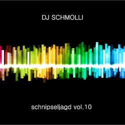 Schnipseljagd Vol.10