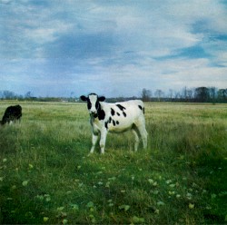 The Dark Side of the Moo