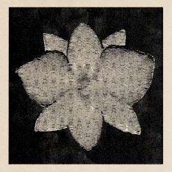 Fundamentals of Orchid Biology