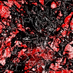 Meadow Lark Dysplasia