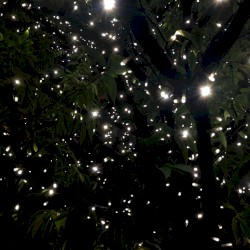 Can We Break Exceptions and See How This Goes