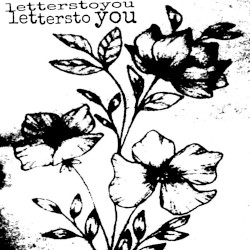 a shoebox of letterstoyou