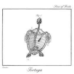 Tortuga