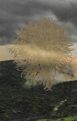 they fall because they must fall / eyes burn bright in divine wreckage