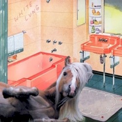 Songs About the South